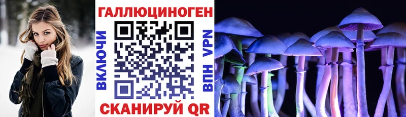 Галлюциногенные грибы Psilocybe  Ладушкин 