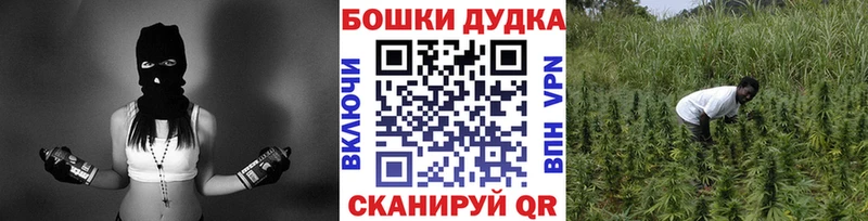 Бошки марихуана марихуана  Ладушкин 